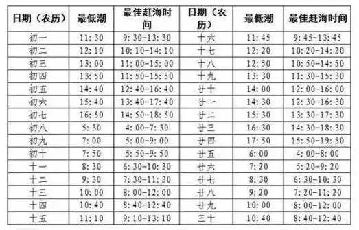 挖蛤拾贝，秦皇岛赶海这份指南可收好了！