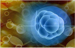 上海细胞治疗集团真的能医癌症吗,上海细胞治疗集团2023年营业收入