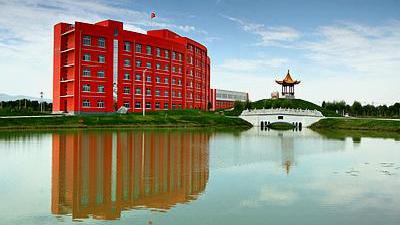 宁夏自治区中卫市沙坡头区什么样,宁夏银川沙坡头区