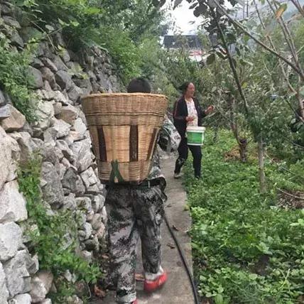 汶川最美紫宝石,汶川最美的紫宝石