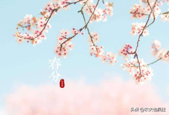20日春分,俗语“春分无雨是空年”什么意思?春分下雨有啥说法?
