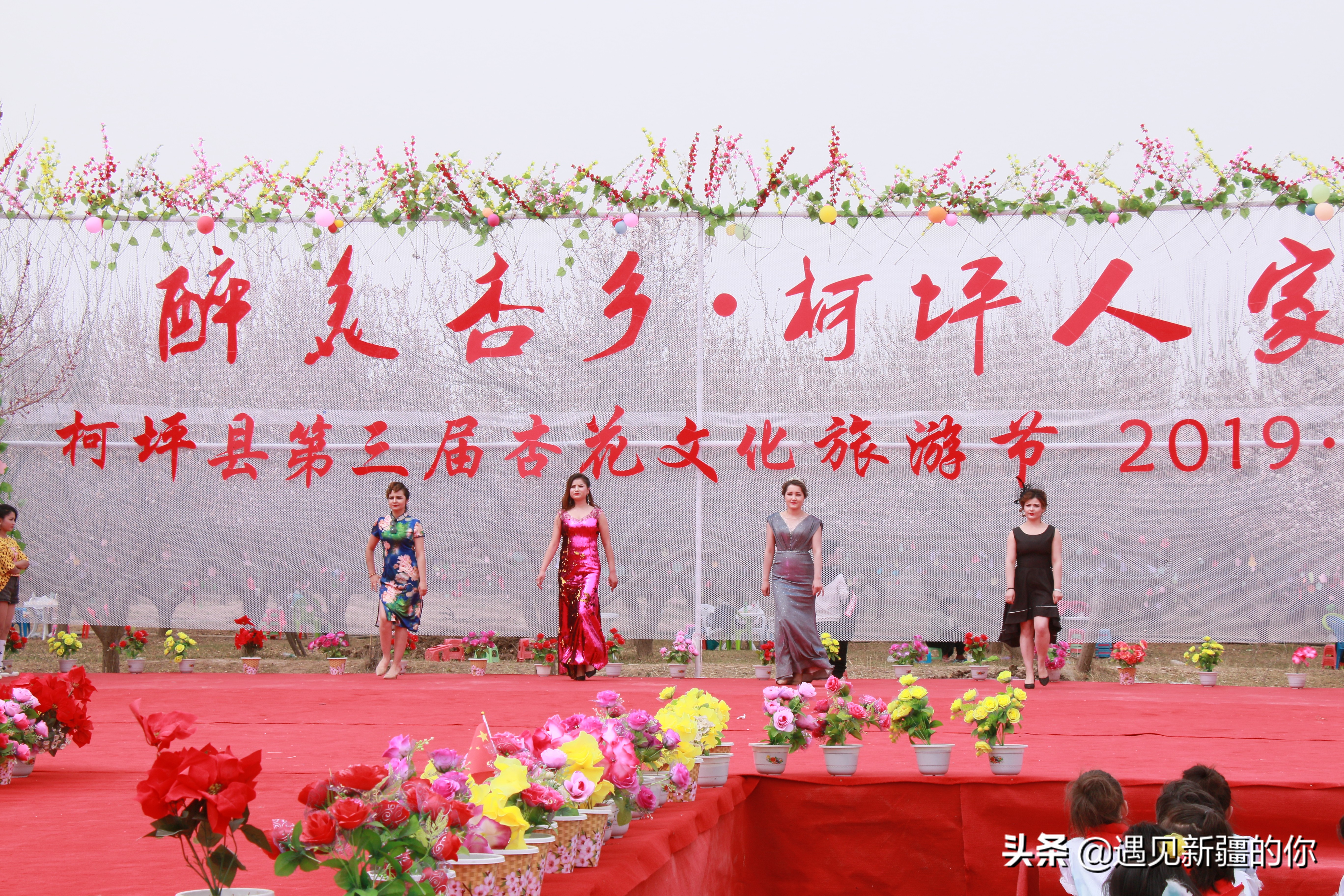 新疆尉犁县杏花节,杏花节旅游