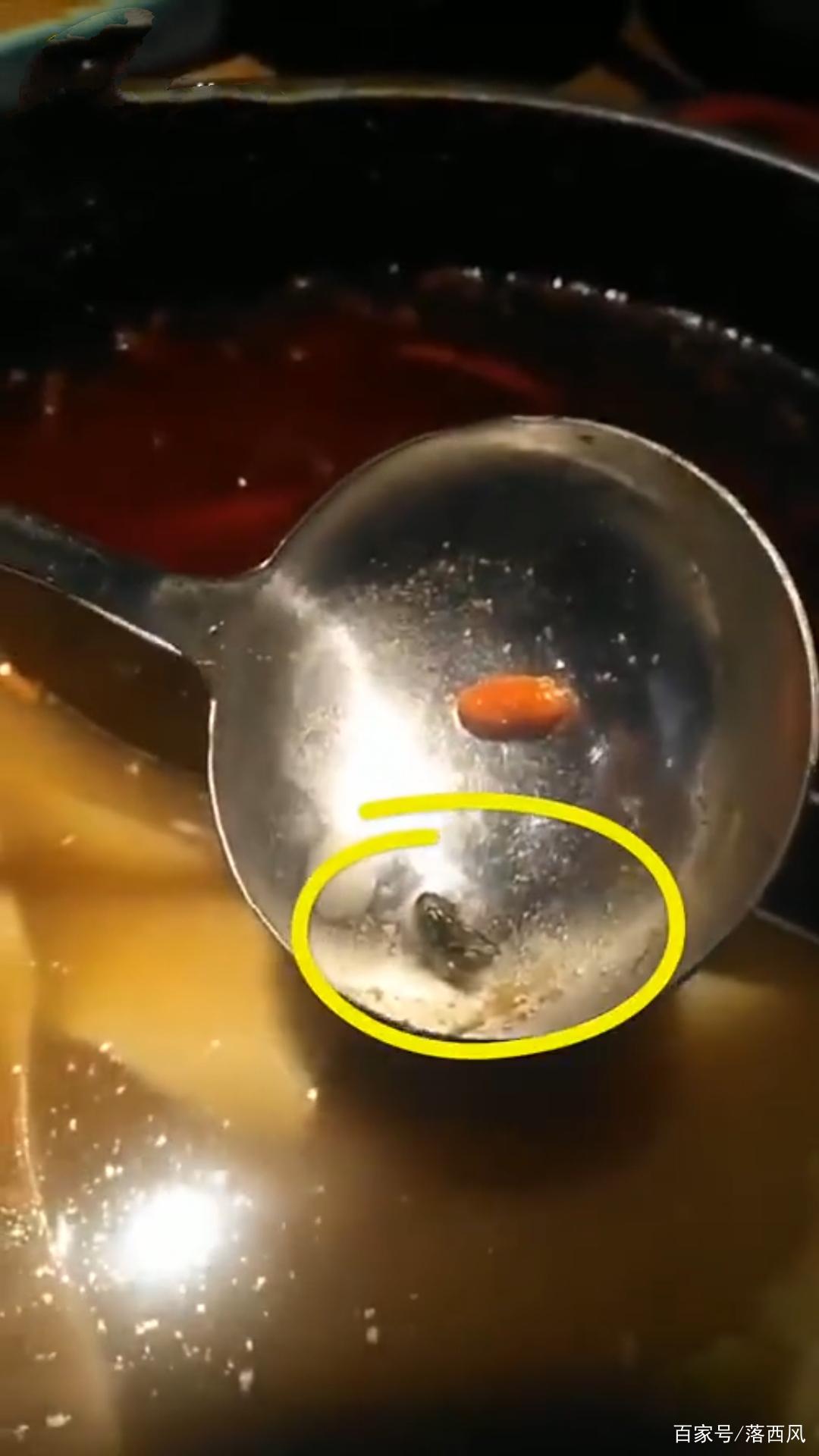 餐饮店客人吃到苍蝇要求三倍赔偿,火锅吃到苍蝇商家拒绝赔偿怎么办