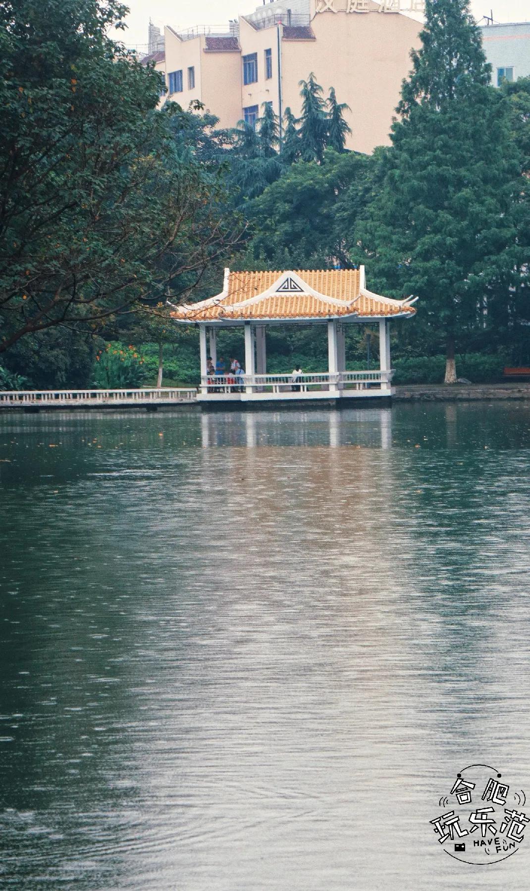 观银河,看银河听风吟的视频