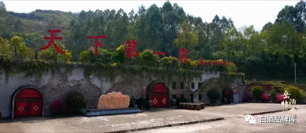 川酒性价比最高的白酒,川酒特曲精品