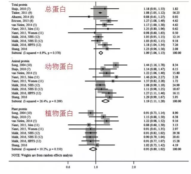 动物优质蛋白,小孩蛋氨酸过高