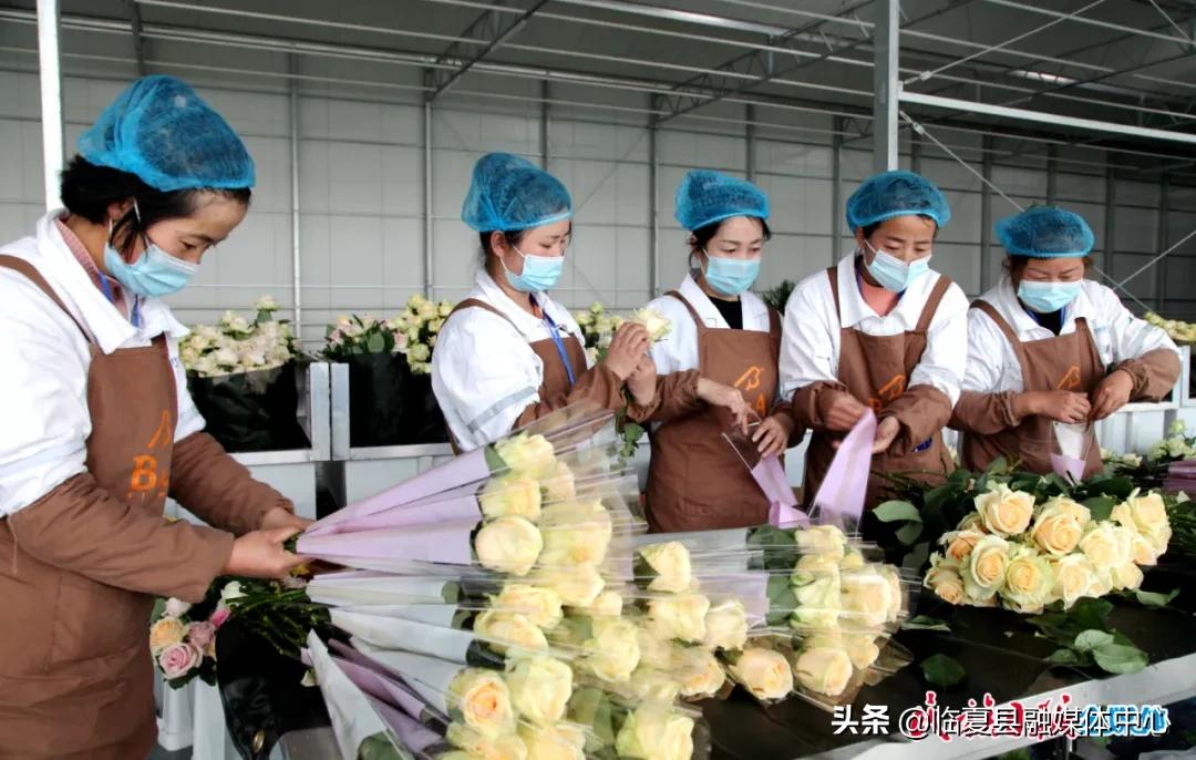 2022年先进党支部先进事迹材料,2024年优秀党支部先进事迹