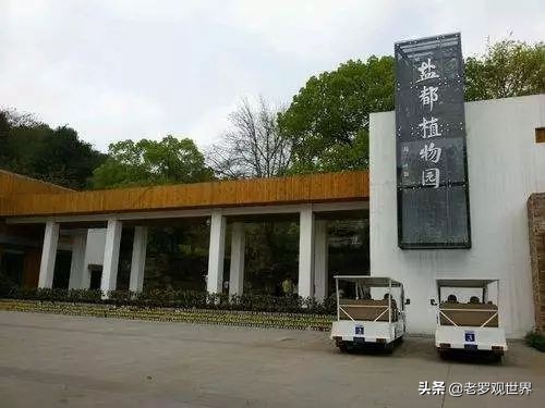 请回答,自贡90后!