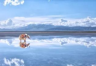 八月下旬去青海合适吗,8月去青海适合吗