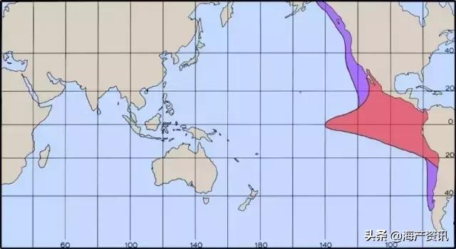 硬核科普全部,硬核科普大全视频