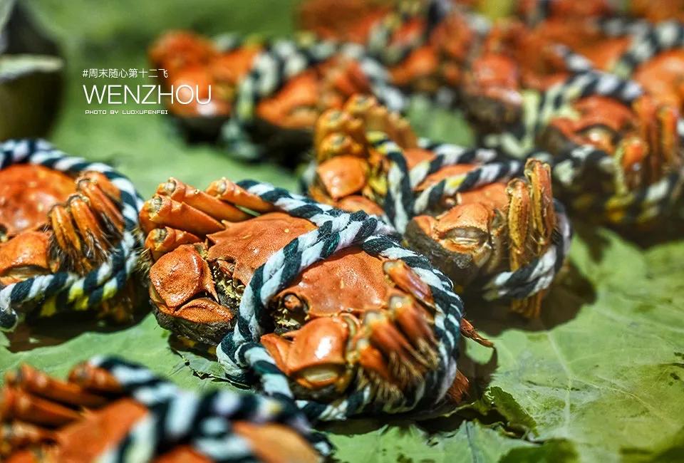 温州到底好不好玩？大老板们的生活究竟是怎样的？