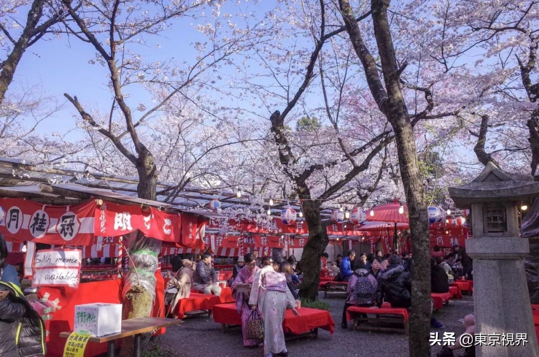 我在京都，攒下一整个春日的绝美樱色送给你。