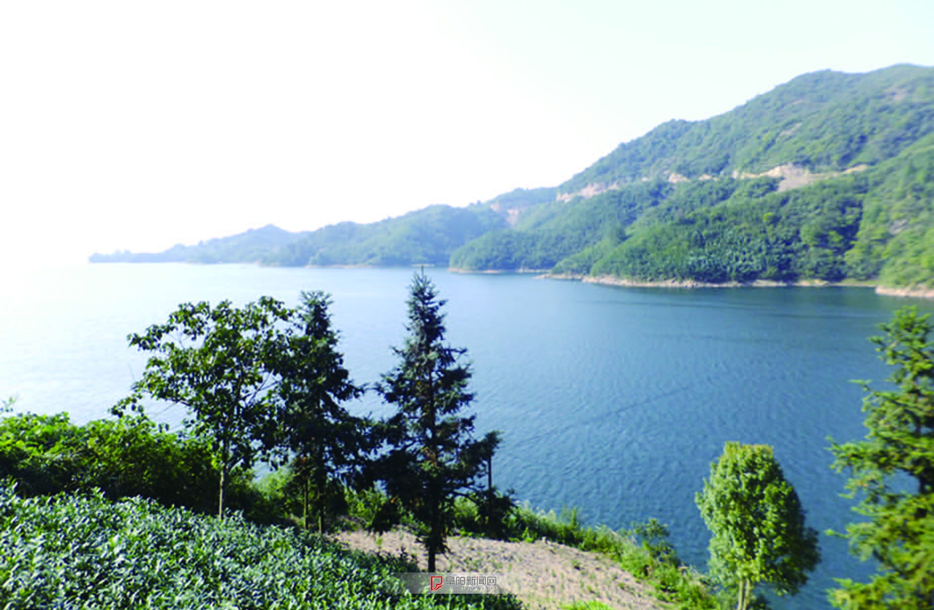 阜阳人去金寨开民宿！租下后，山上长的板栗樱桃竹笋都是你的