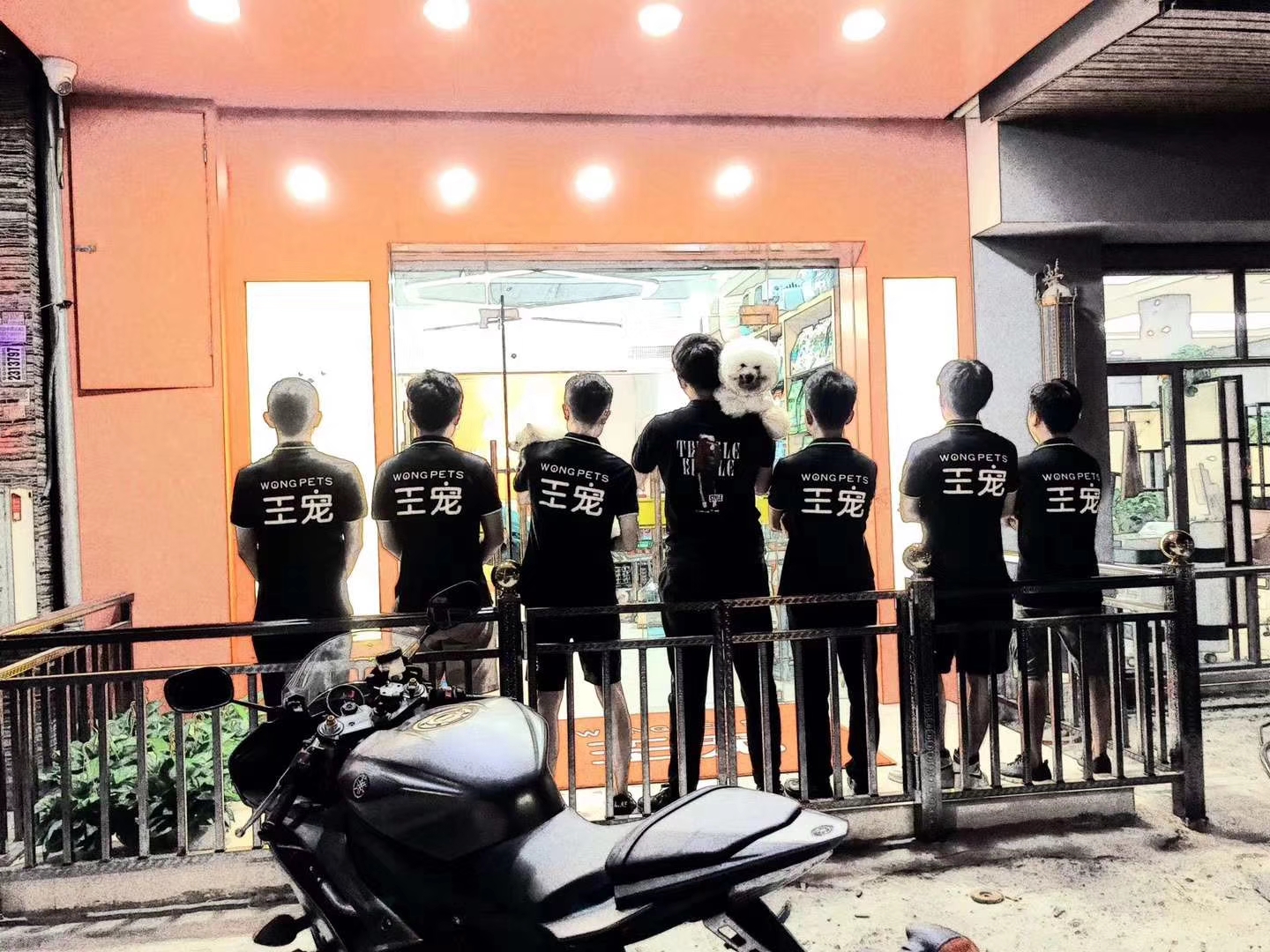 该如何开好一家宠物店呢,如何开一家自己的宠物店