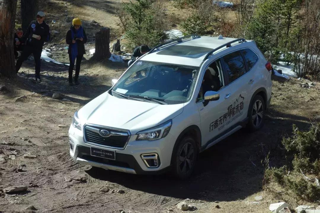 第四代森林人2.5驾驶感受,斯巴鲁森林人2.5测评