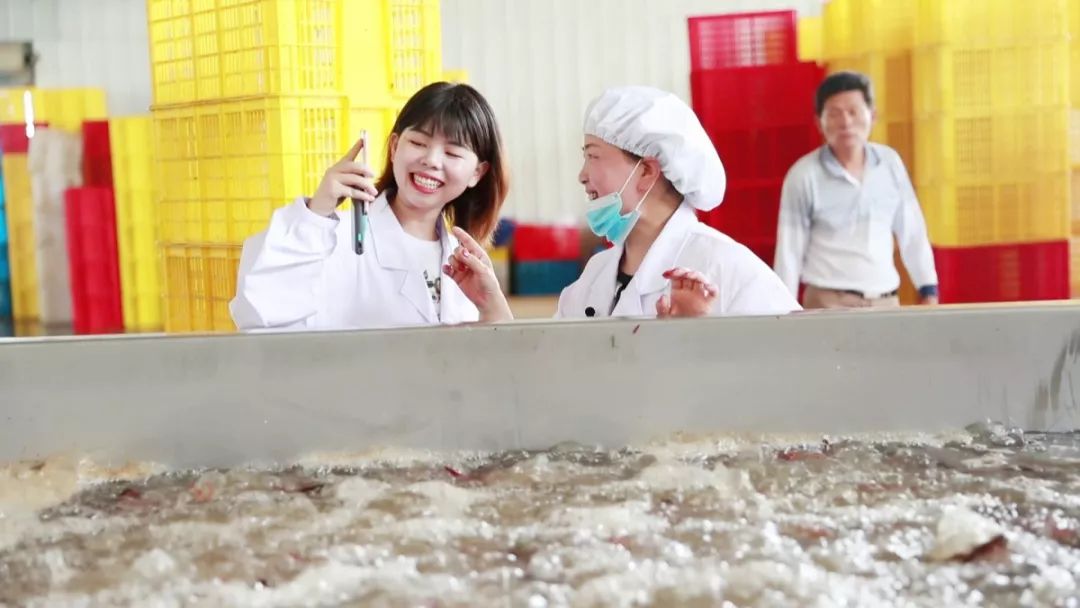 安阳直播卖小龙虾的,诸暨直播卖小龙虾鲜活