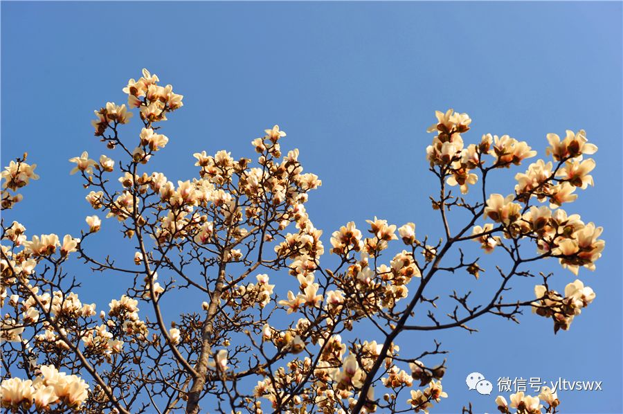 杨凌现状,杨凌最新照片