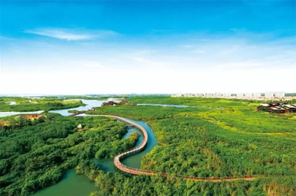 富力红树湾怎么样？区位、配套、产品多方位深入解析