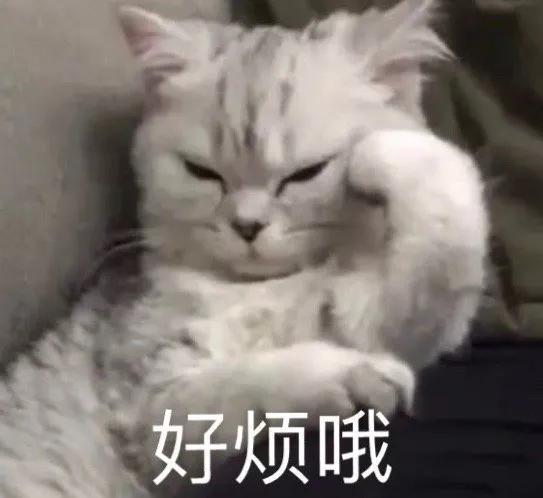 吃瓜沙雕表情包,看瓜群众表情包