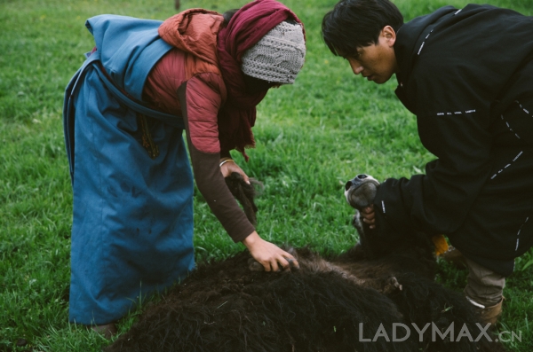 国内女装雅莹如何用牦牛毛绒为可持续发展带来新想象力？