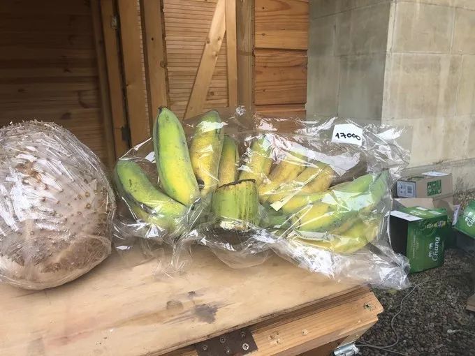 匈牙利文化节,匈牙利布达佩斯活动