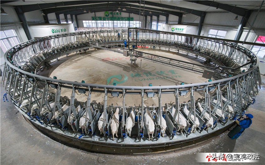 宝鸡四个区的发展前景,宝鸡市经济发展分析