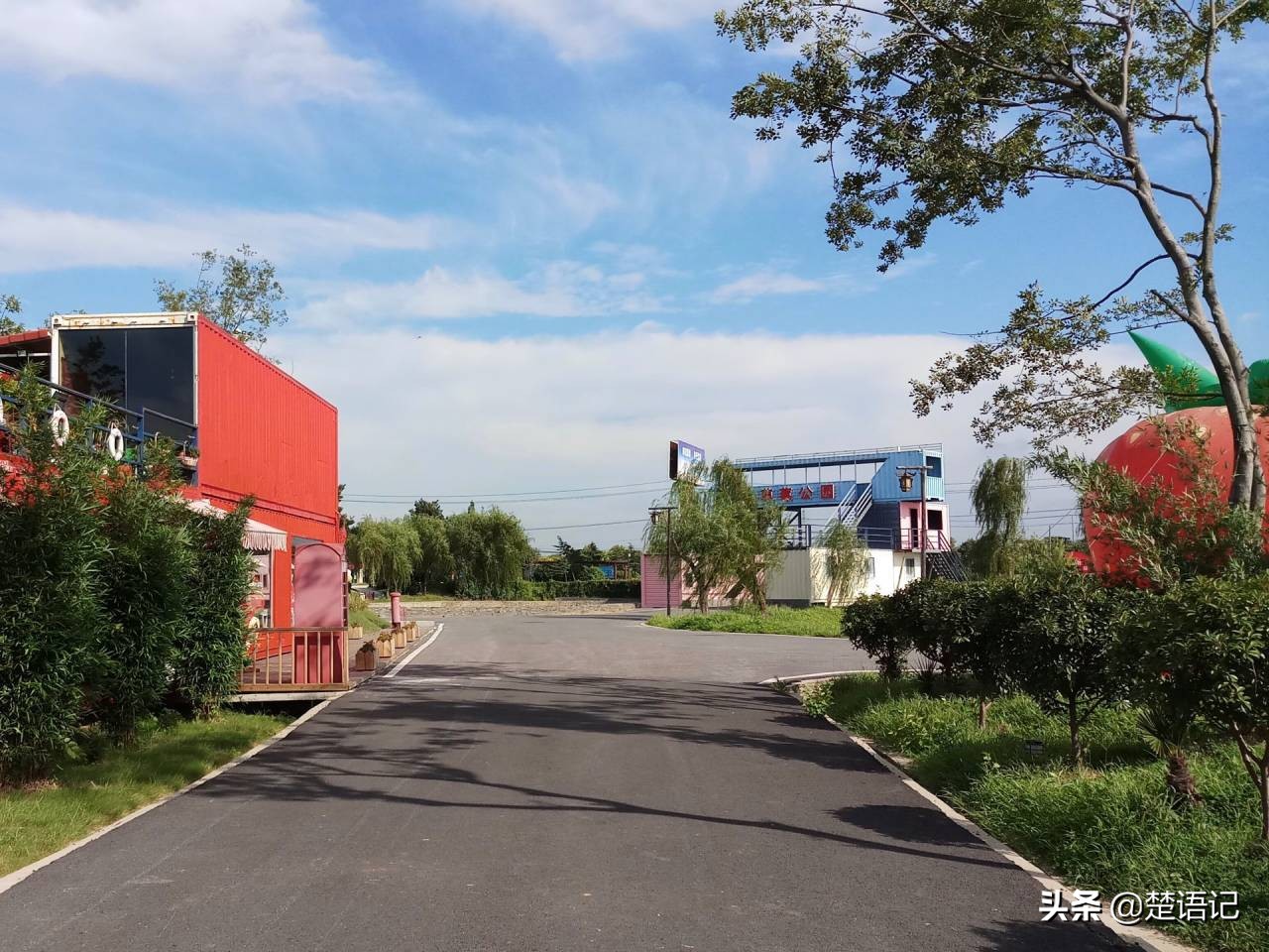 句容白兔镇草莓之乡,白兔镇樱花园