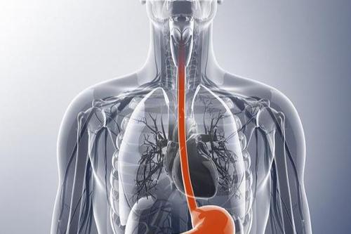 食道癌应该吃的食物,80岁老人得了食道癌饮食吃什么好