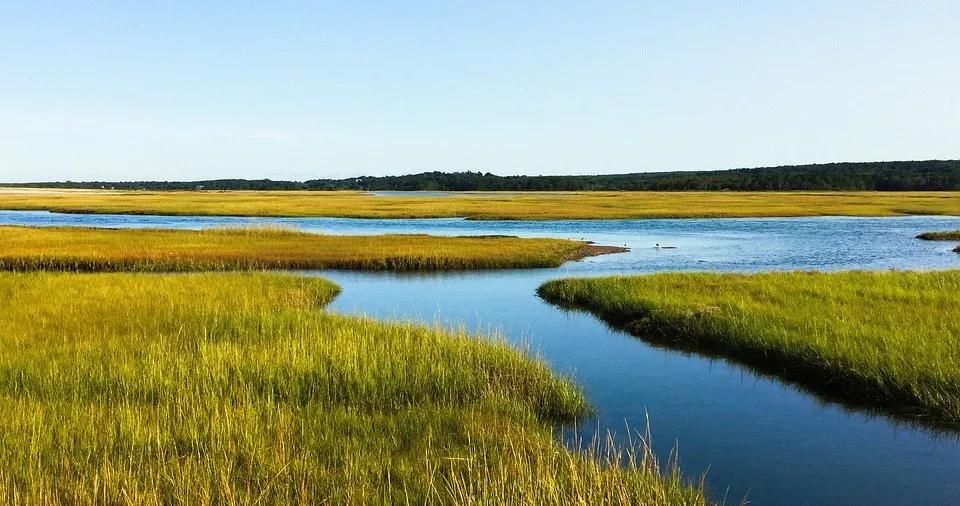 WheretheCrawdadsSing是一本什么样的书？