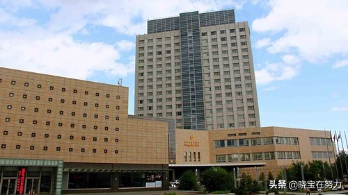 内蒙古规划建五星级酒店,内蒙古蒙古利亚大酒店几星级