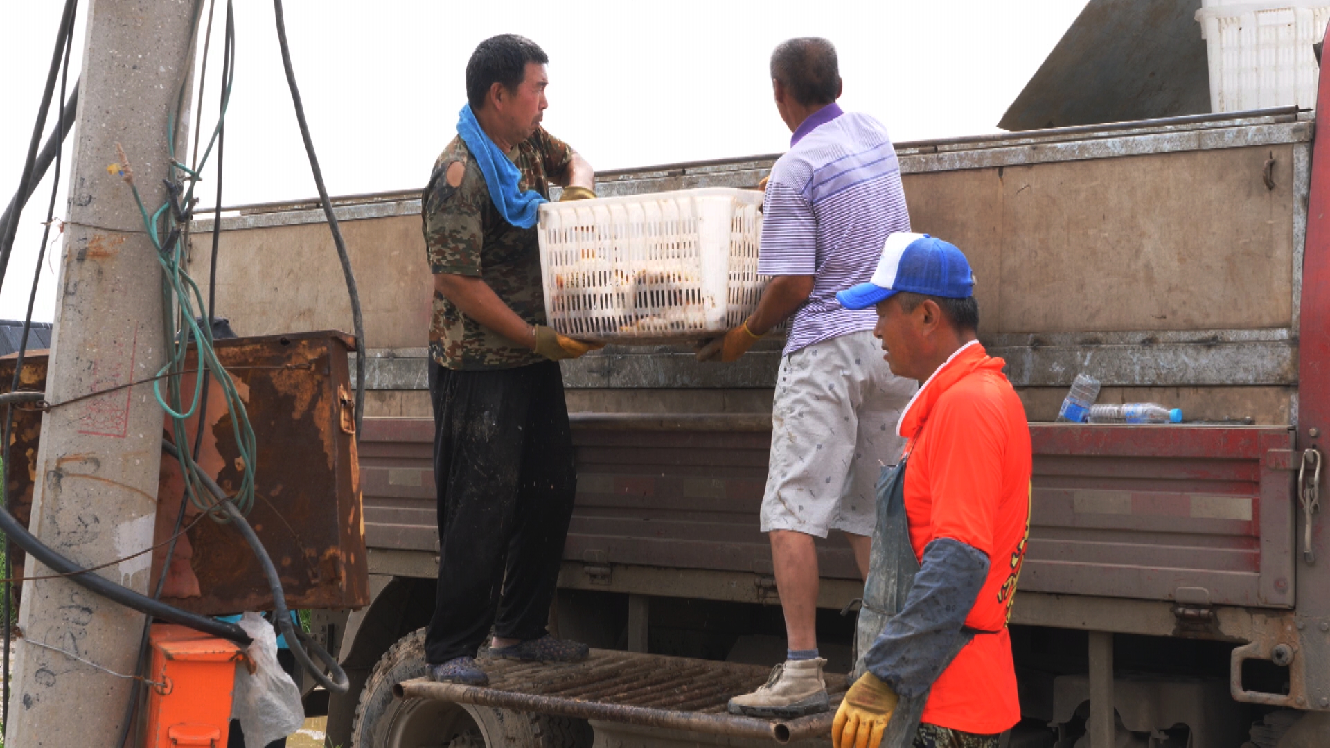 静海花园因为什么火起来的,静海花园的经营模式