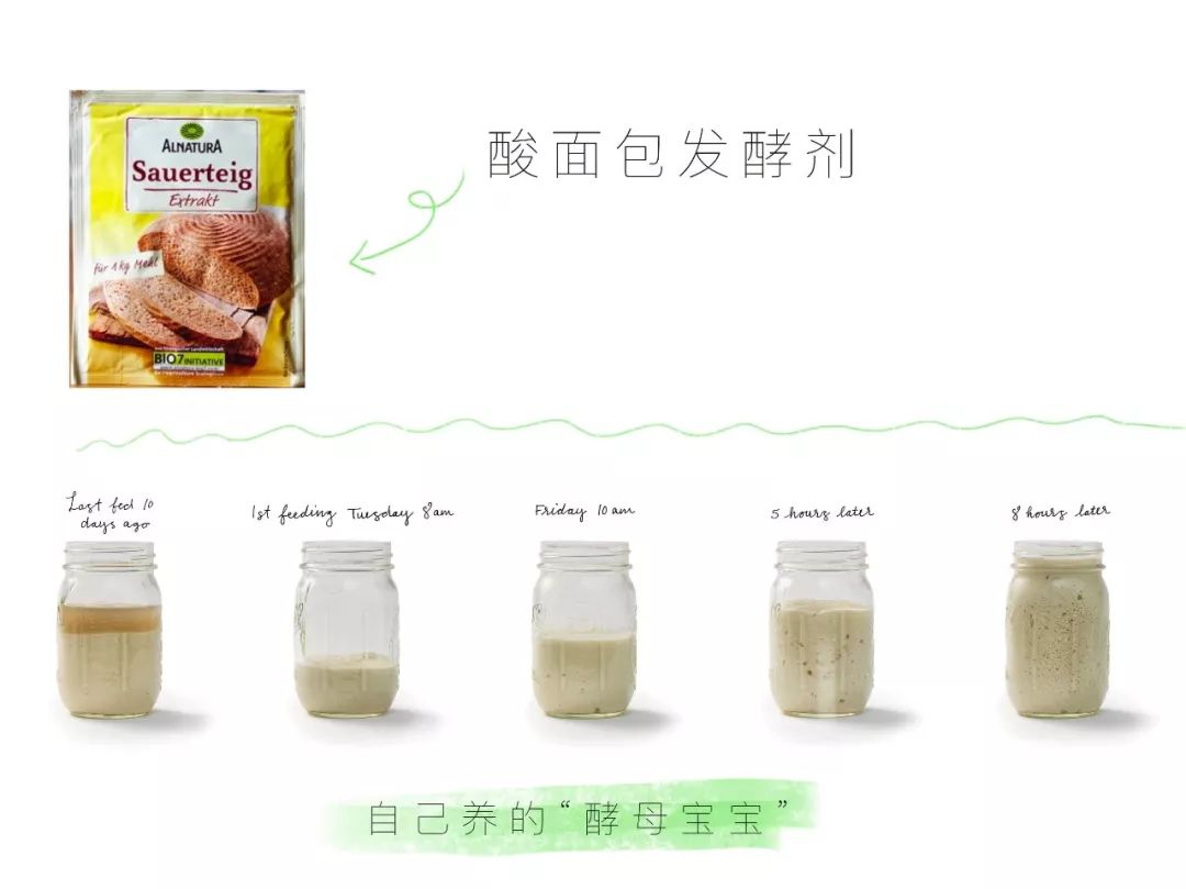 美食小卡片英语,食物卡片和饮料卡片