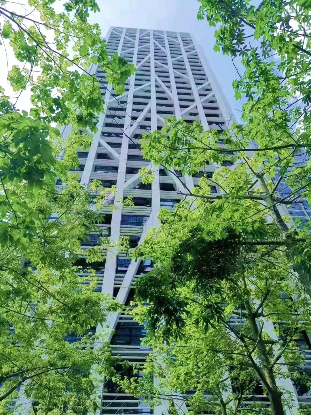 高端而不高冷，有温度的写字楼——金地中心战疫记