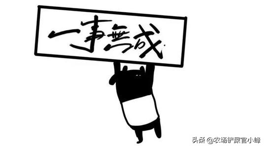 花生种免费经营模式,免费摘花生项目