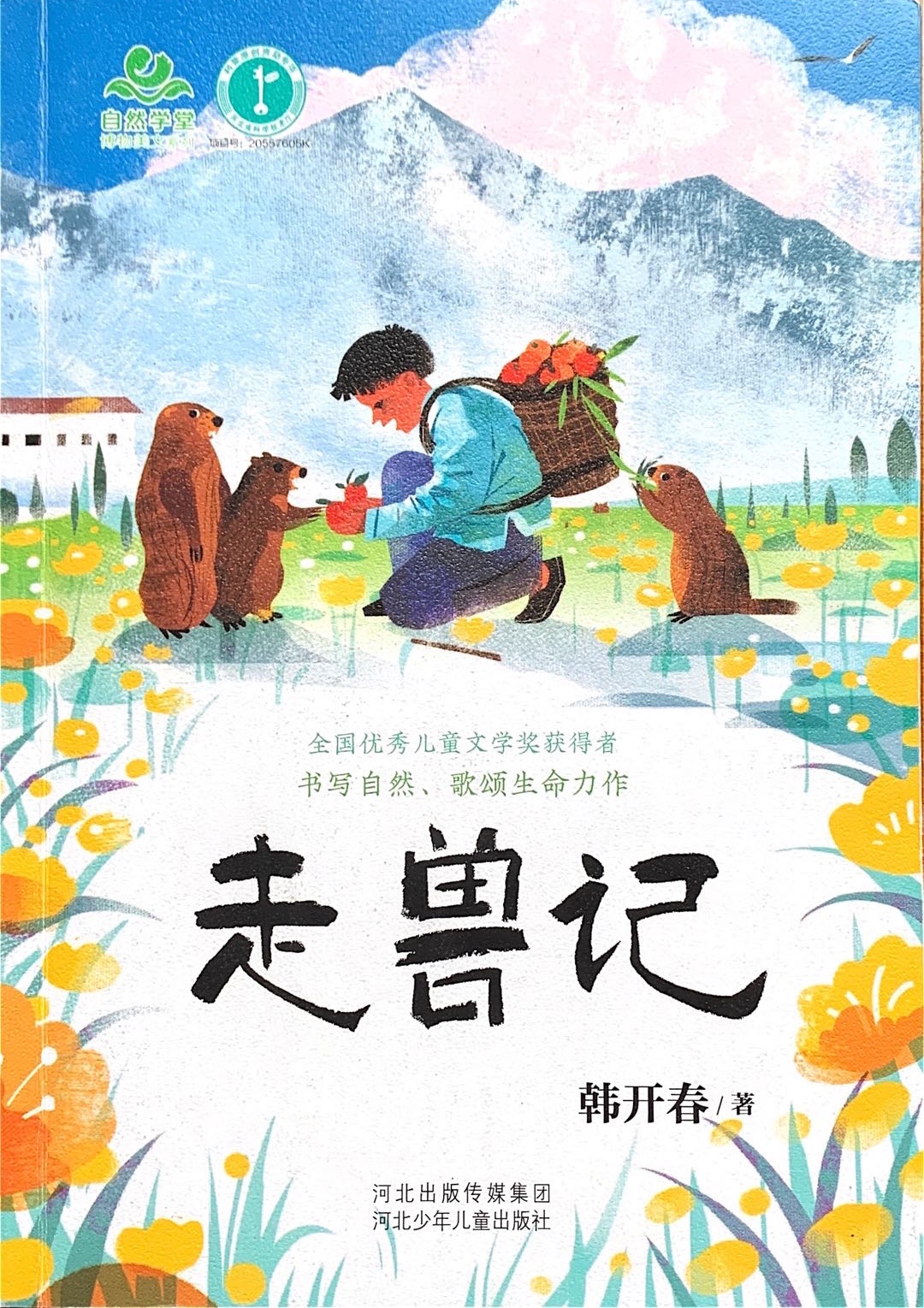 黄鼠狼和狐狸打架真相,黄鼠狼为什么能制服刺猬