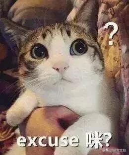 如何改掉猫咪乱挠乱咬的毛病,猫咪为什么会挠猫粮