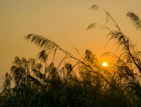 《丰乳肥臀》:鲁璇儿水性杨花,女儿们自由恋爱,结局却殊途同归