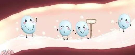 一颗小米粒的旅行,一颗米粒的旅程