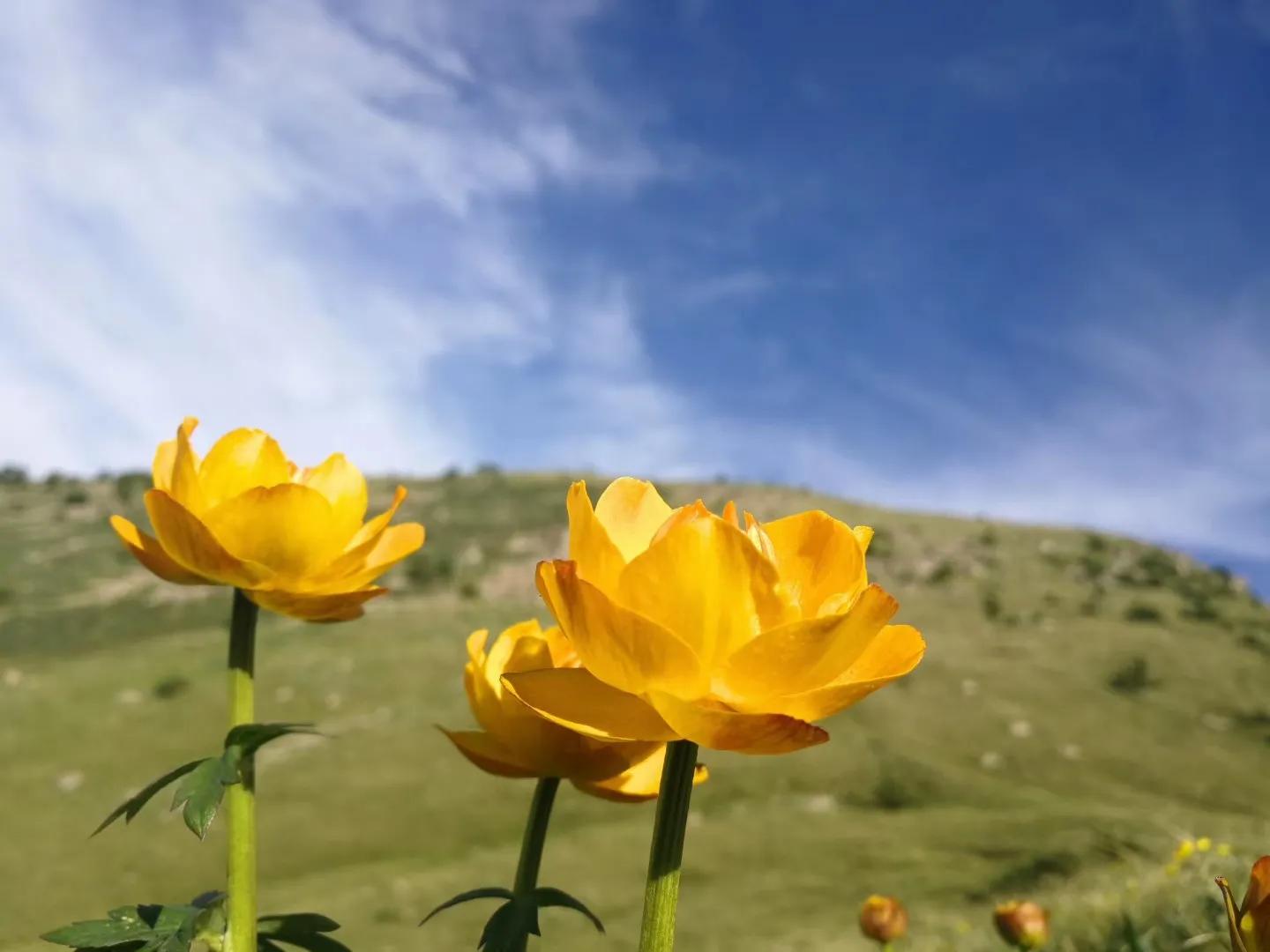 河北第一高山小五台山,河北的最高山峰小五台山海拔多少