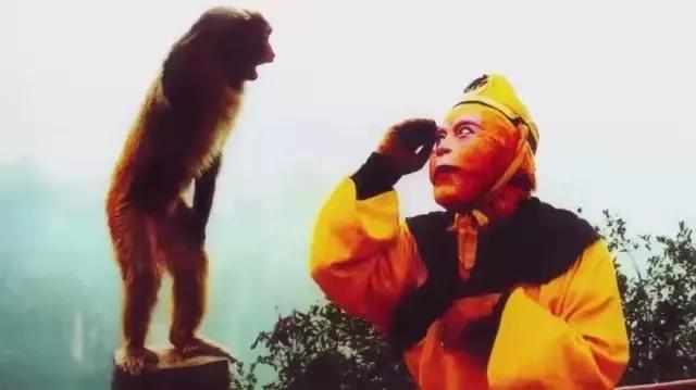 六小龄童上节目全部视频,六小龄童空降综艺视频