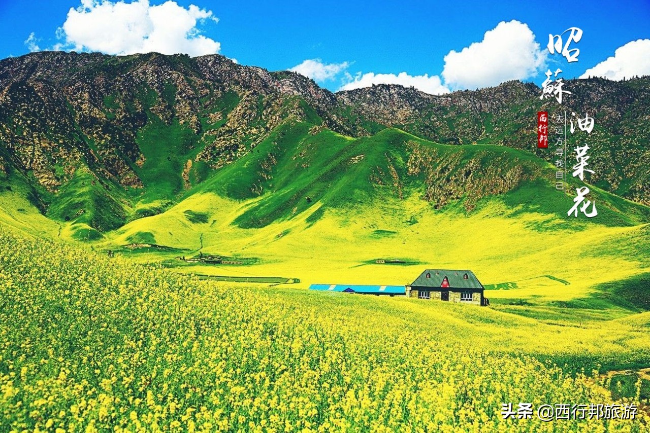 哼，又想「骗」我去*疆新**旅游！