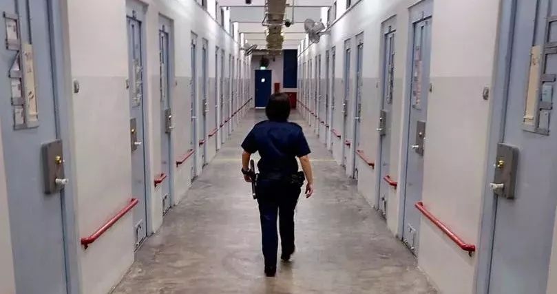 新加坡恐怖女佣在线观看,新加坡电影女佣的恐怖程度