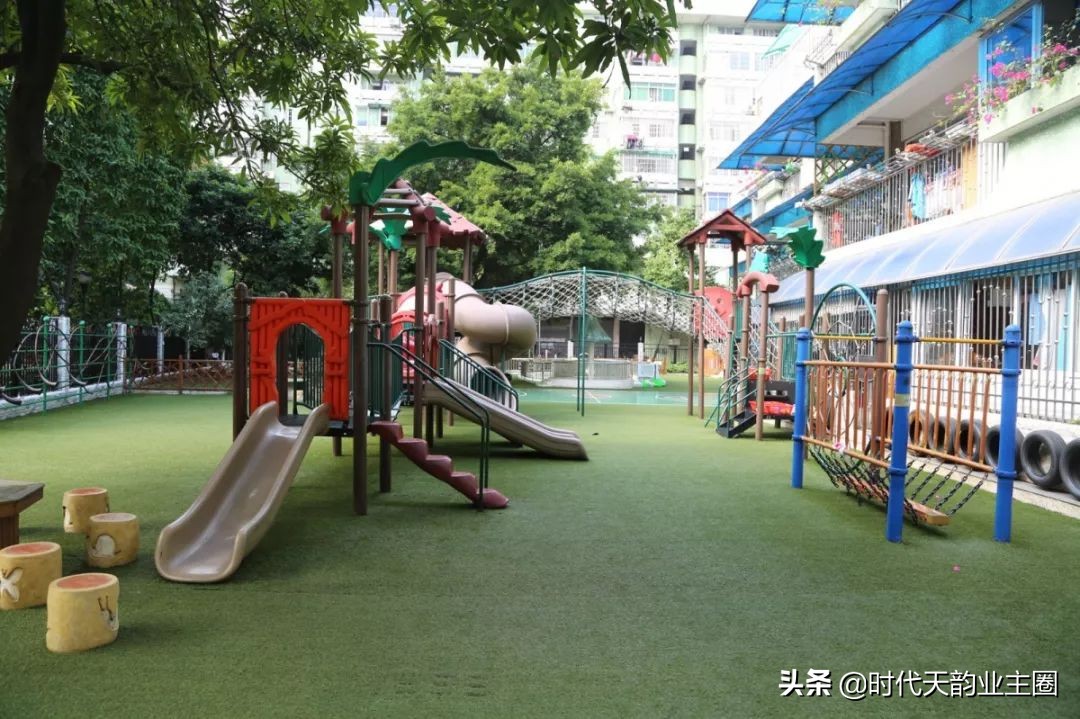 知识城幼儿园,知识城学校