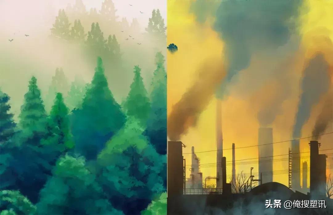 哪个塑料厂倒闭了,塑料厂倒闭视频