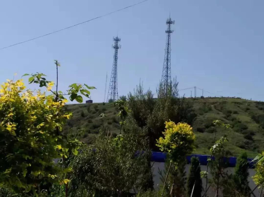 【本土】黄黑绿:印象三色准格尔旗“羊塔市”