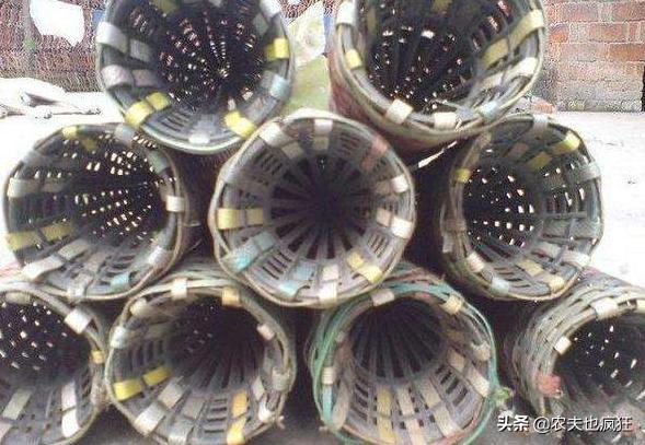 晚上野河抓黄鳝的正确方法,稻田里抓黄鳝钓黄鳝