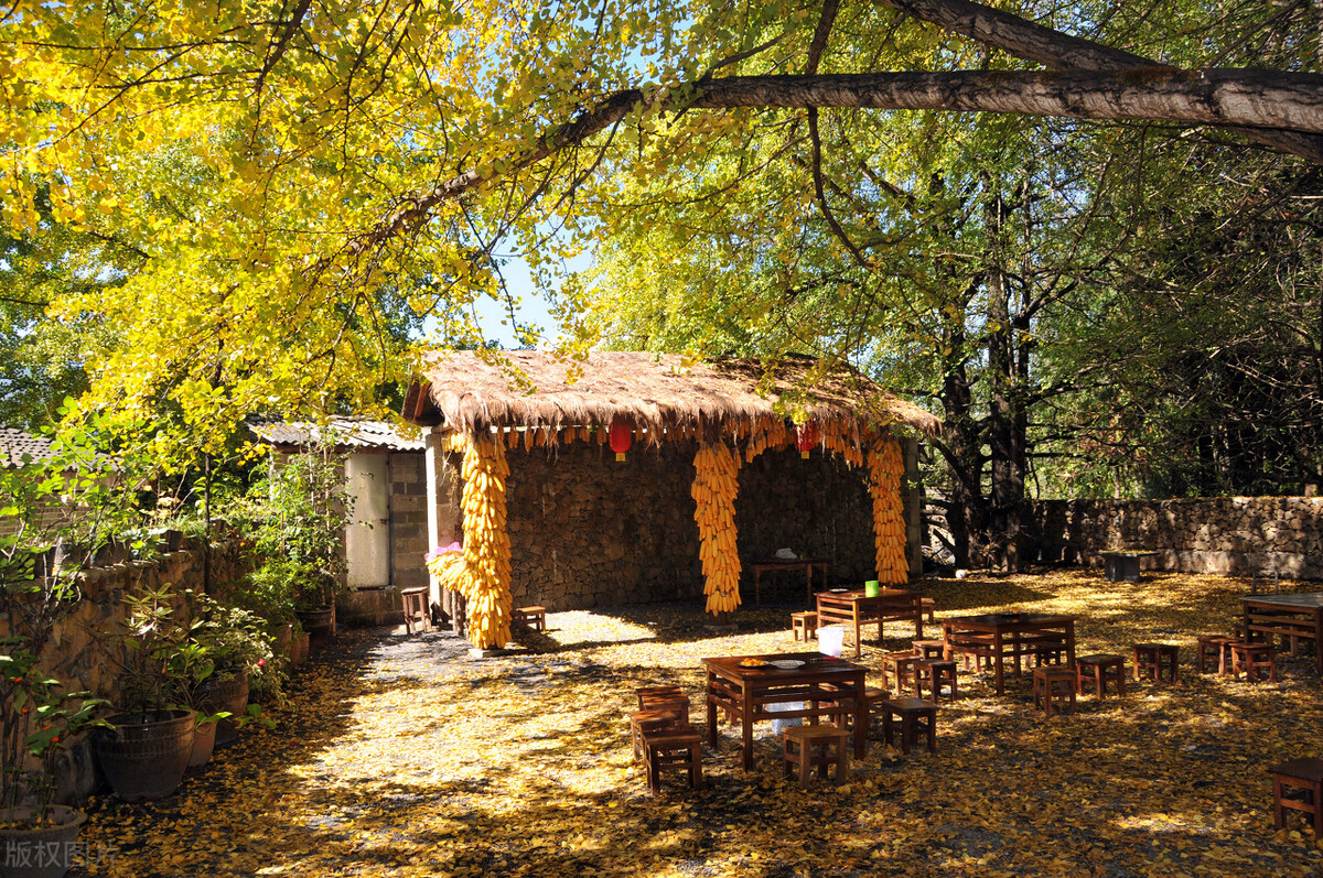 散文寻一处静谧,独居山林的隐居生活散文