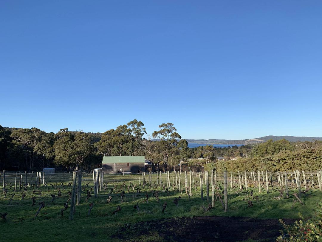 塔斯马尼亚心形小岛,降落西沙群岛