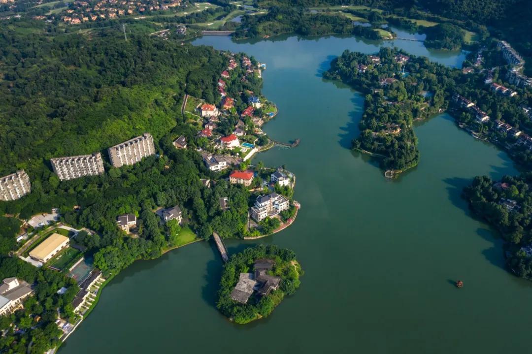 如果蓝湖郡搬到高新区管委会旁，有多少人能提前看到价值？