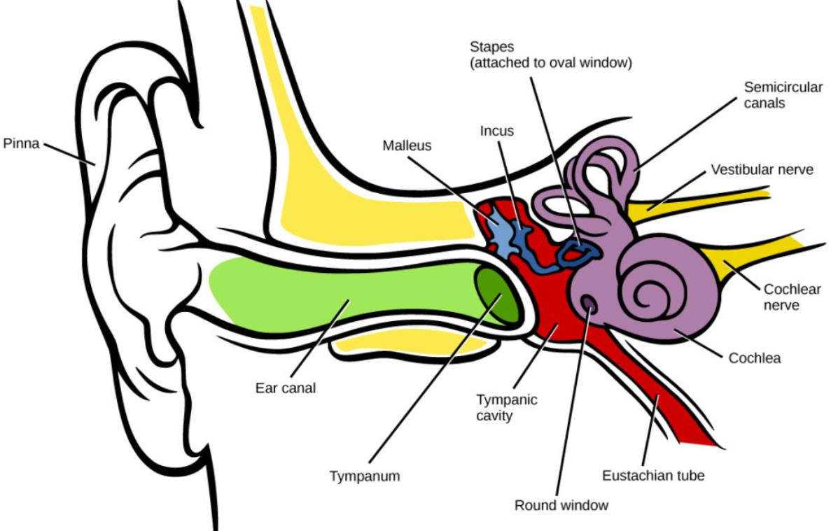 头晕的诊断与治疗方法,头晕症状的诊断